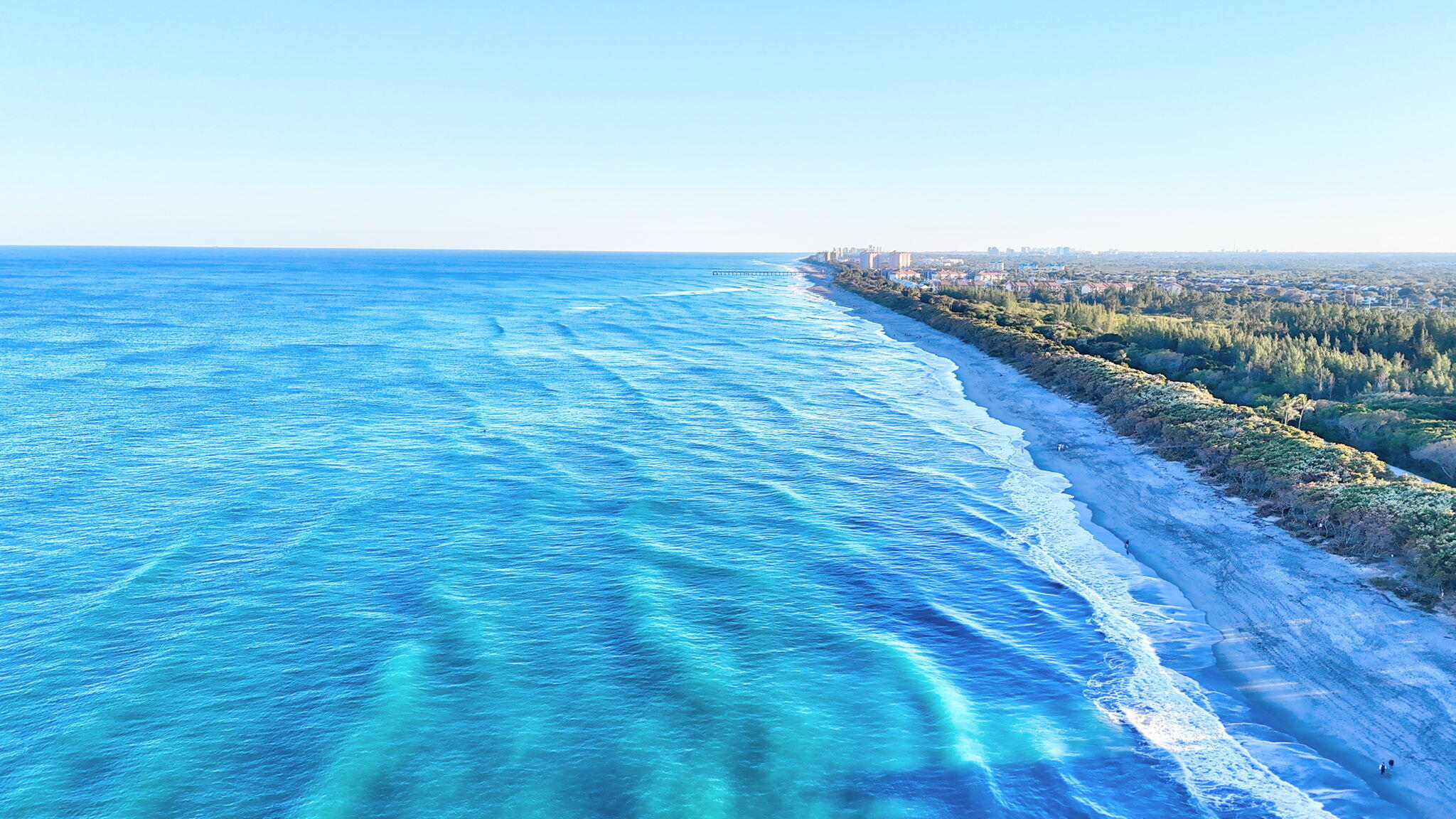 123 Olympus Way Jupiter, FL 33477 - Photo 104 of 116 a view of an empty room with wooden floor and fence