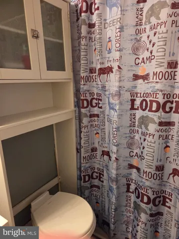 a bathroom with a toilet and a shower curtain