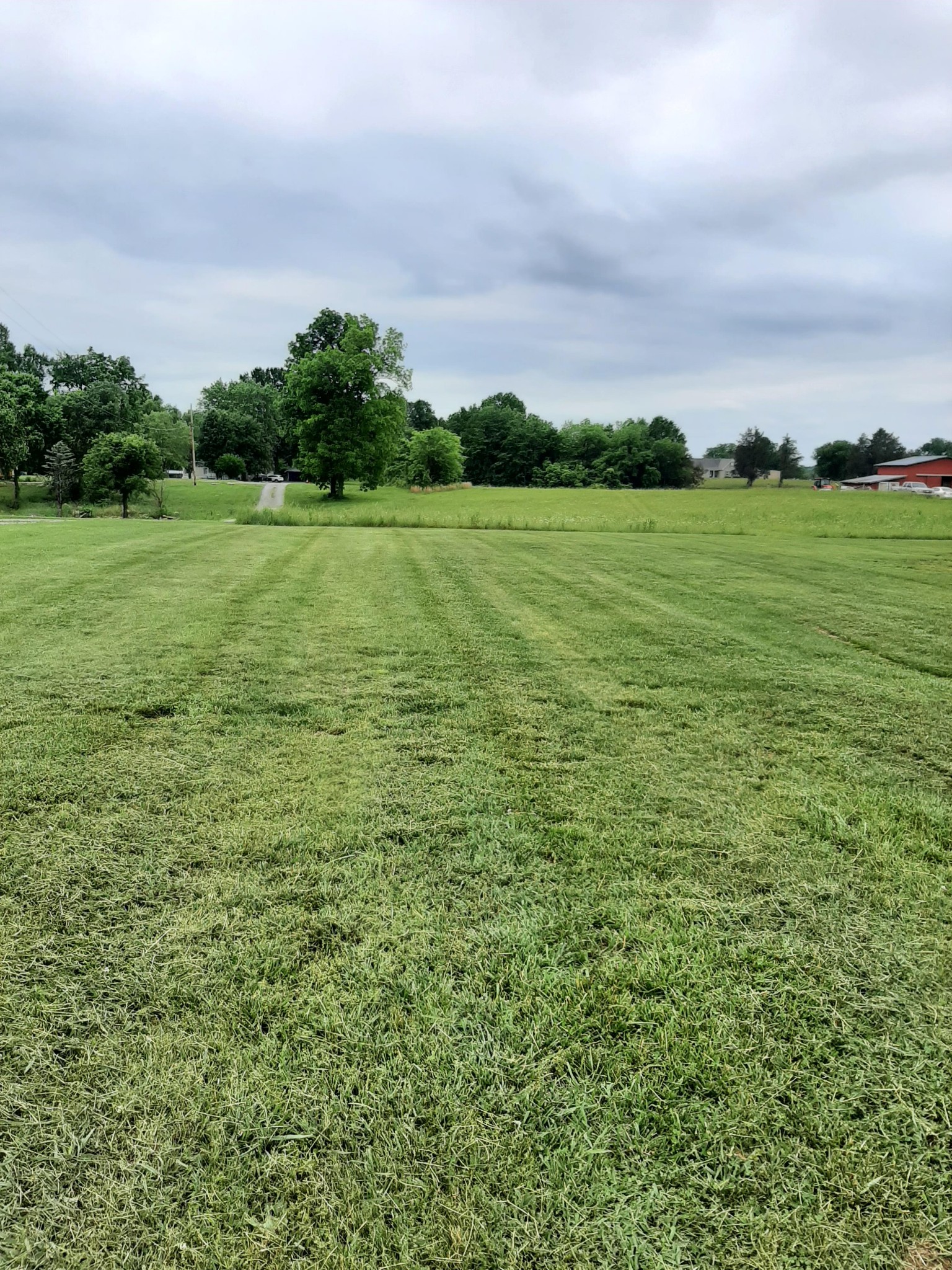 2006 Flat Woods Road Lebanon, TN 37090 - Photo 3 of 24 a view of a green field with clear sky