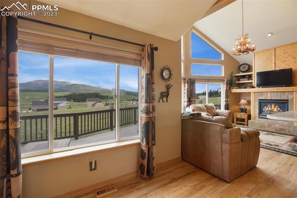 113 Matthew Road Divide, CO 80814 - Photo 12 of 49 a living room with furniture a fireplace and a flat screen tv
