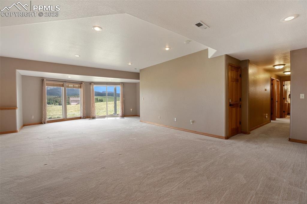 113 Matthew Road Divide, CO 80814 - Photo 33 of 49 a view of an empty room with potted plants