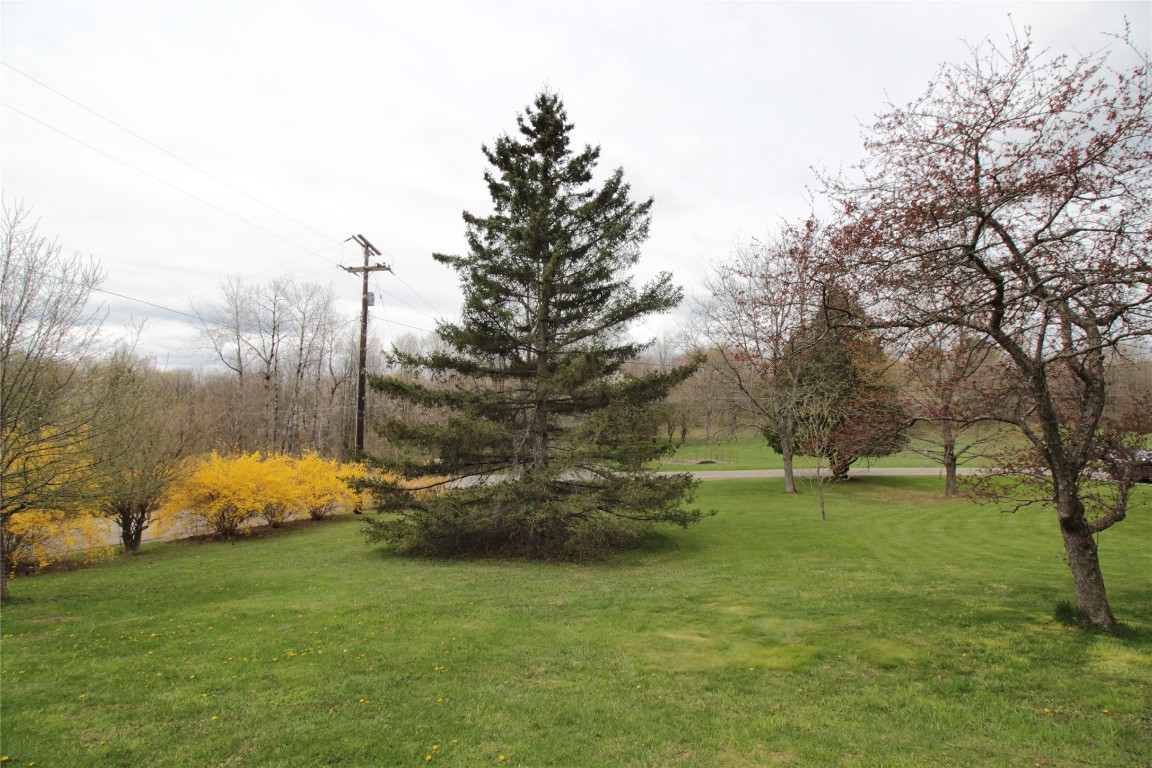 4350 Foster Valley Road Endicott, NY 13760 - Photo 40 of 50 Gallery Image 40