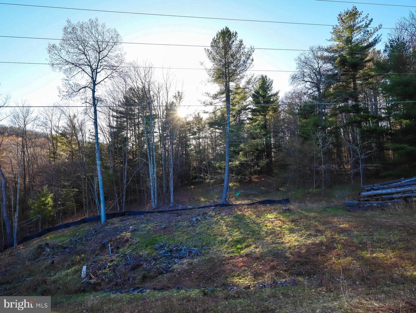 7 Twin Lakes Road Brackney, PA 18812 - Photo 16 of 36 Gallery Image 16