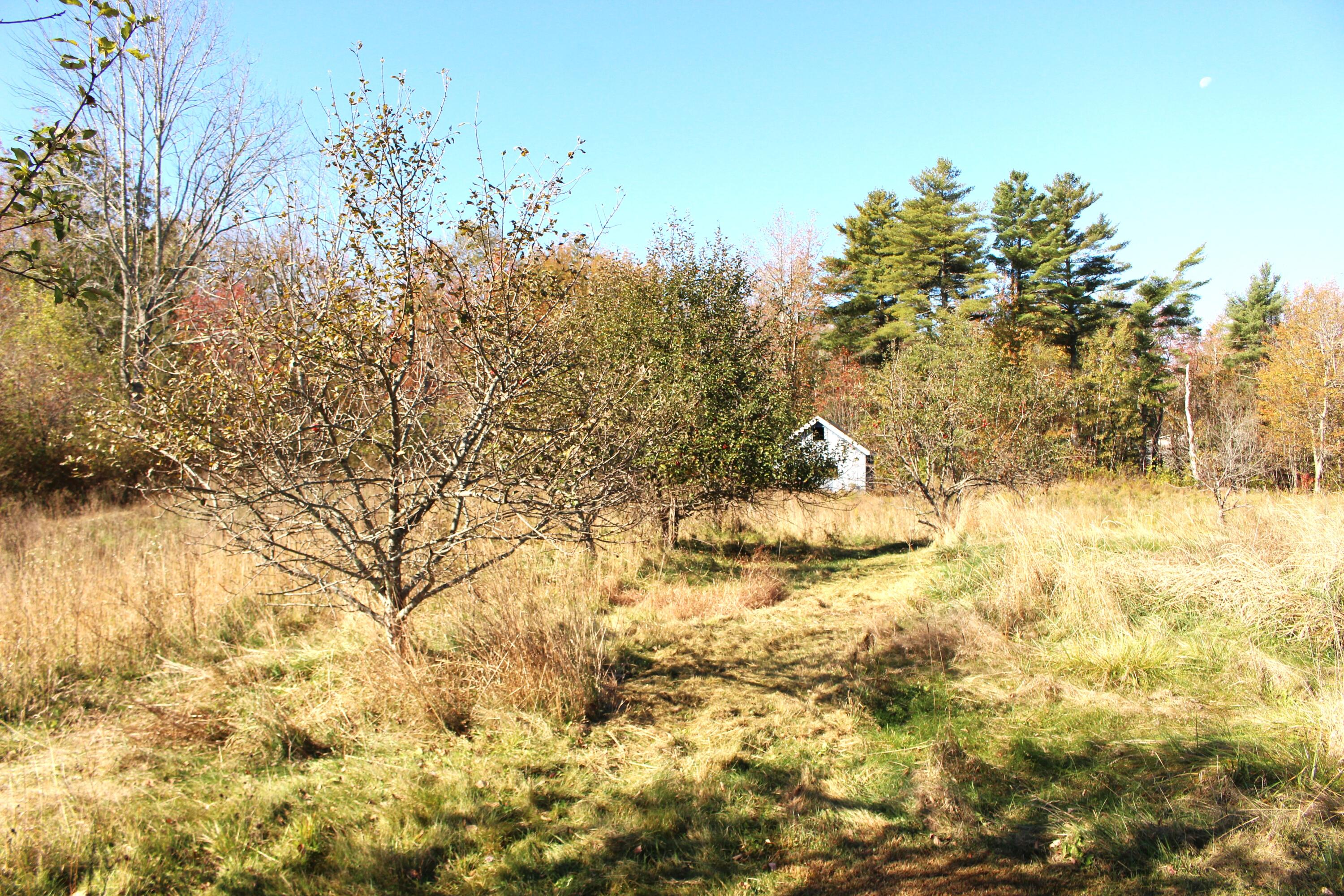 2626 Winslows Mills Road Waldoboro, ME 04572 - Photo 27 of 32 IMG_0454