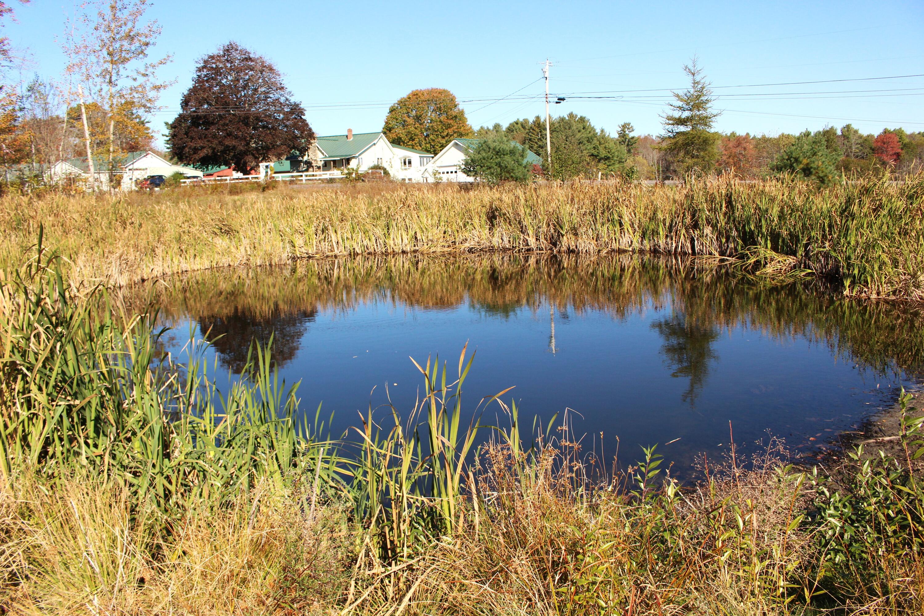 2626 Winslows Mills Road Waldoboro, ME 04572 - Photo 31 of 32 IMG_0467