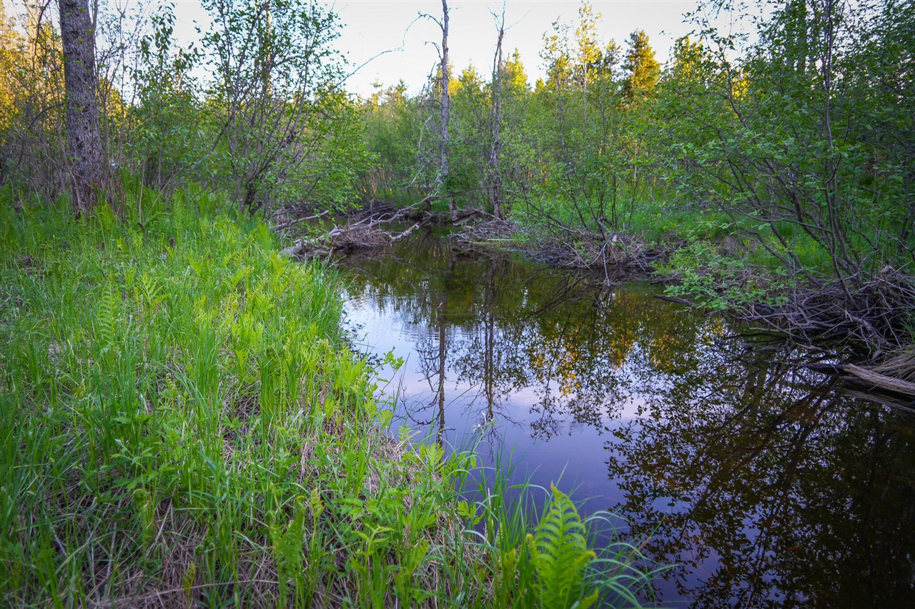 V/l V/l 33rd Road Gladstone, MI 49837 - Photo 48 of 70