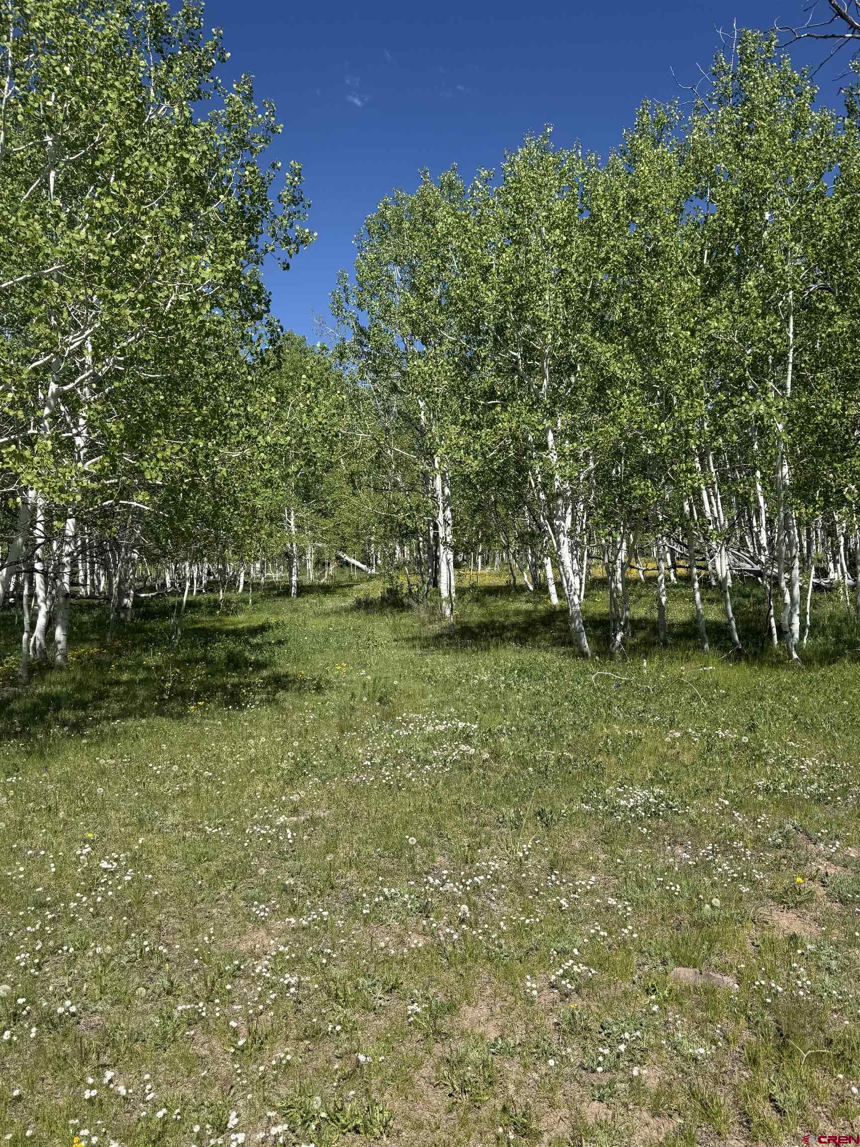 Tbd Divide/ Davewood Road Montrose, CO 81403 - Photo 3 of 8