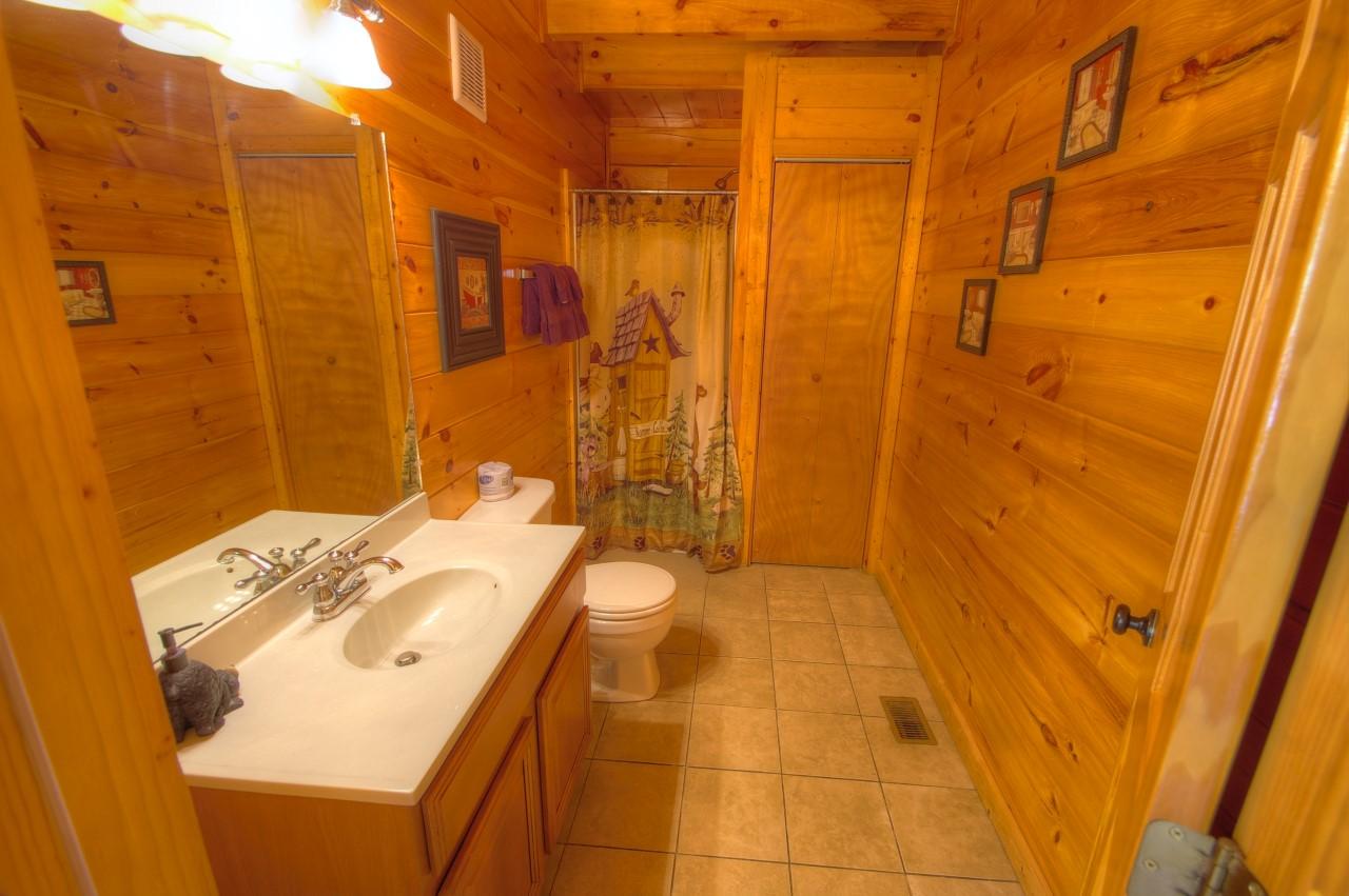 2764 Murray Ridge Road Sevierville, TN 37876 - Photo 13 of 22 IMGP5092_3_4Enhancer (Custom)