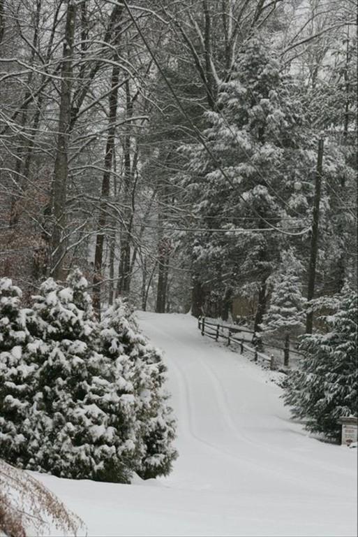 2764 Murray Ridge Road Sevierville, TN 37876 - Photo 22 of 22 Winter road
