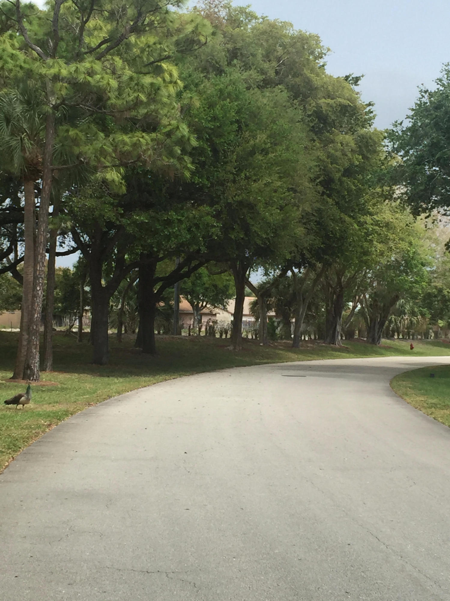 4267 Wood Ride Road, Unit B Boynton Beach, FL 33436 - Photo 3 of 34 Street View
