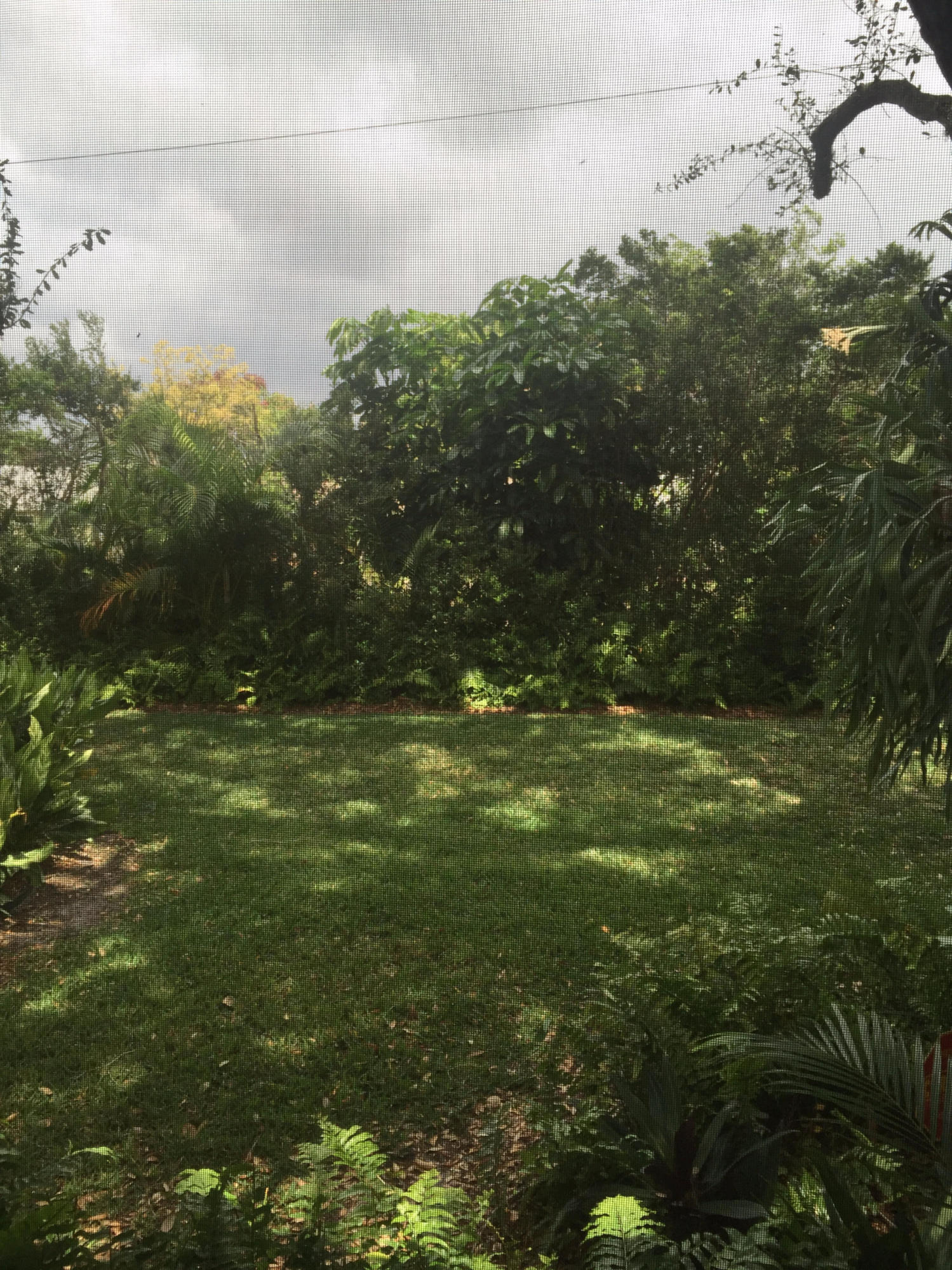 4267 Wood Ride Road, Unit B Boynton Beach, FL 33436 - Photo 32 of 34 Backyard