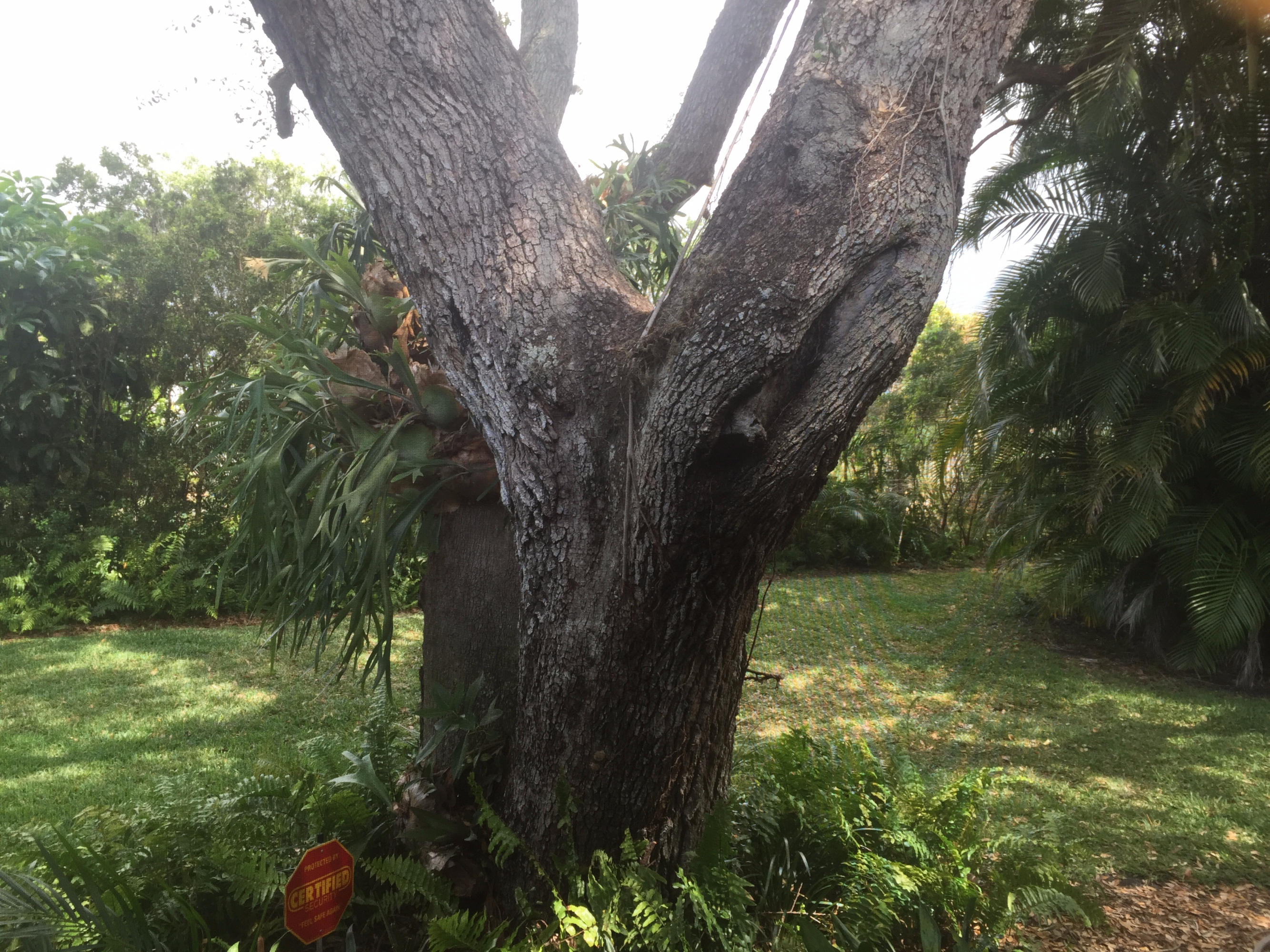 4267 Wood Ride Road, Unit B Boynton Beach, FL 33436 - Photo 33 of 34 Backyard