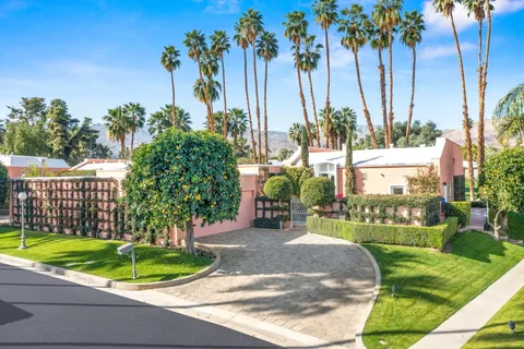a view of a backyard with palm trees