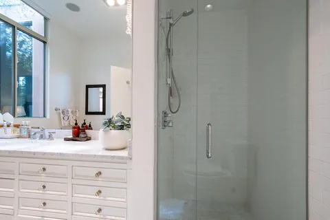 a view of a garden with plants and large trees