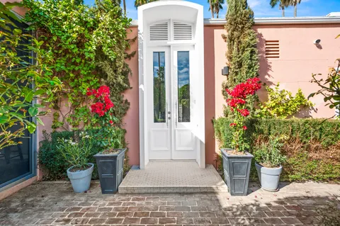 a potted plant sitting in front of a house with potted plants