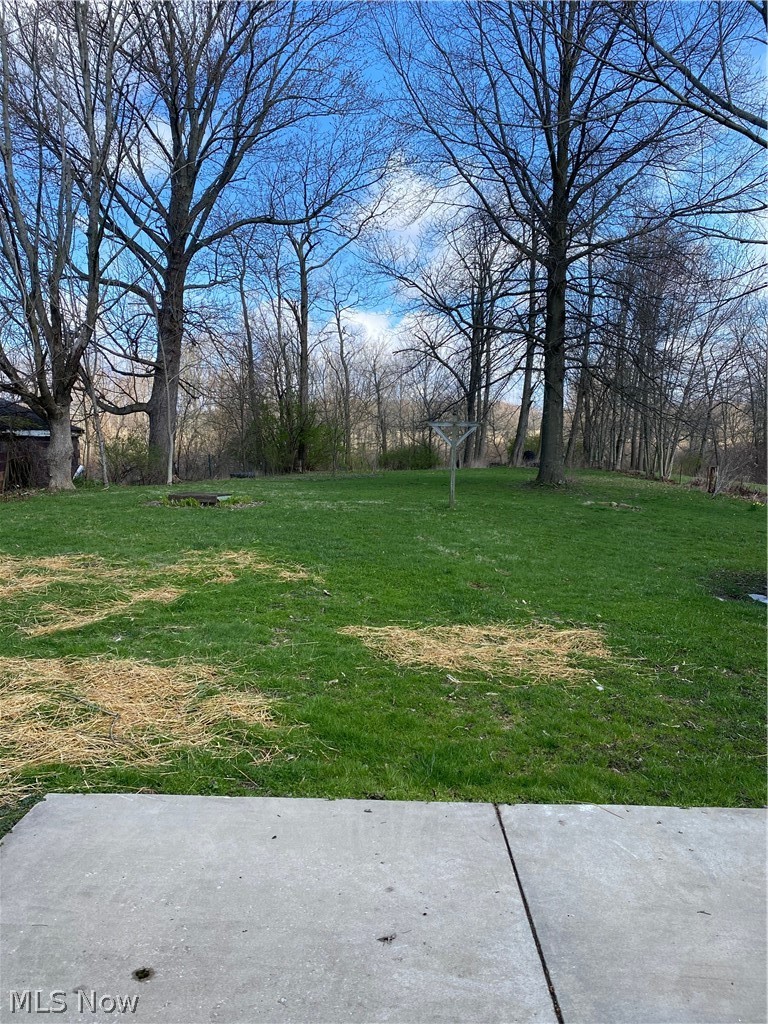 6595 Waterloo Road Atwater, OH 44201 - Photo 7 of 28 View from back patio.