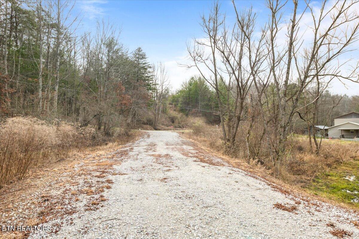1863 Old County Garage Road Helenwood, TN 37755 - Photo 14 of 43 14-Old County Garage Rd