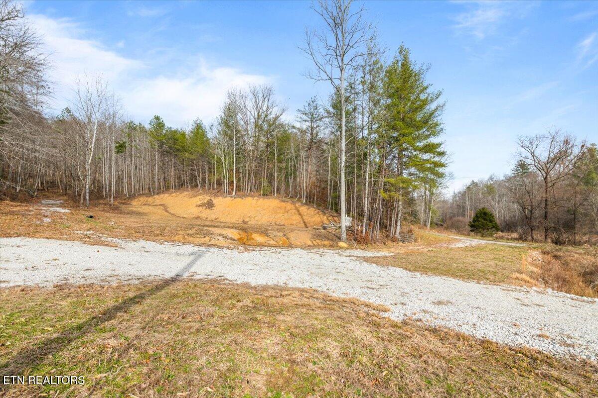 1863 Old County Garage Road Helenwood, TN 37755 - Photo 16 of 43 16-Old County Garage Rd