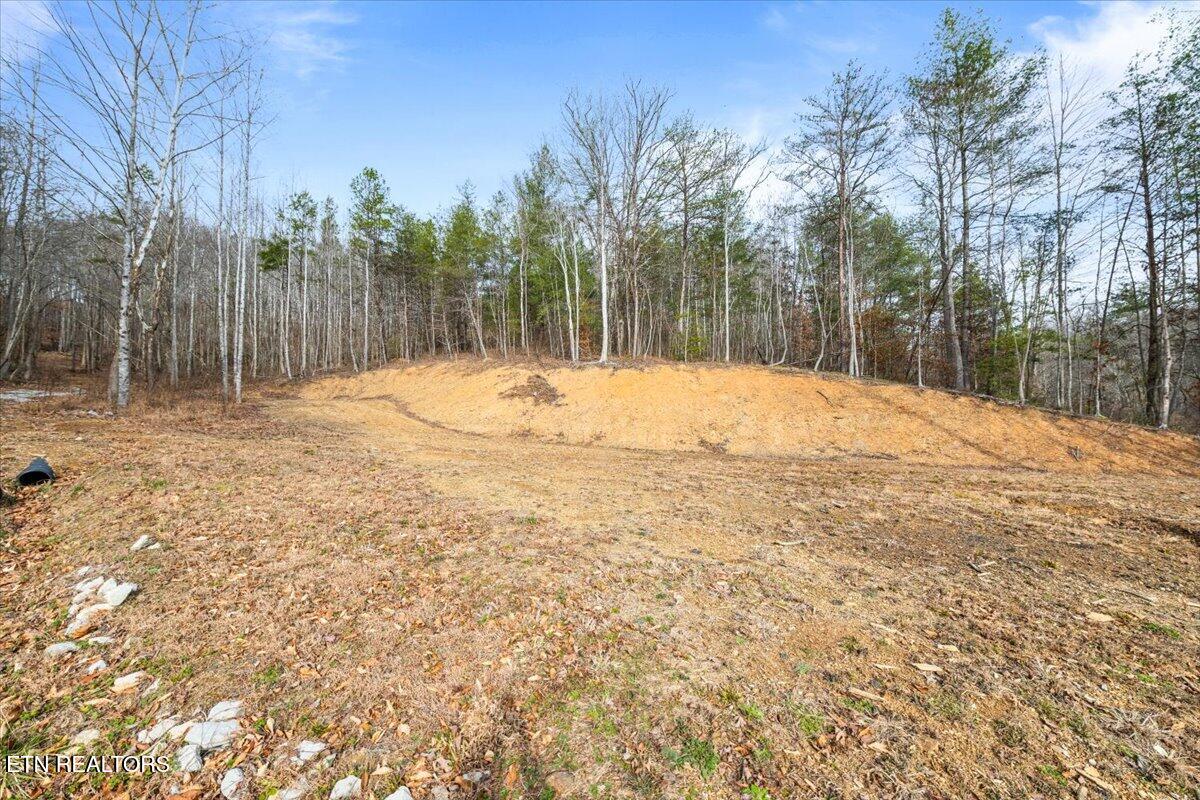 1863 Old County Garage Road Helenwood, TN 37755 - Photo 18 of 43 18-Old County Garage Rd