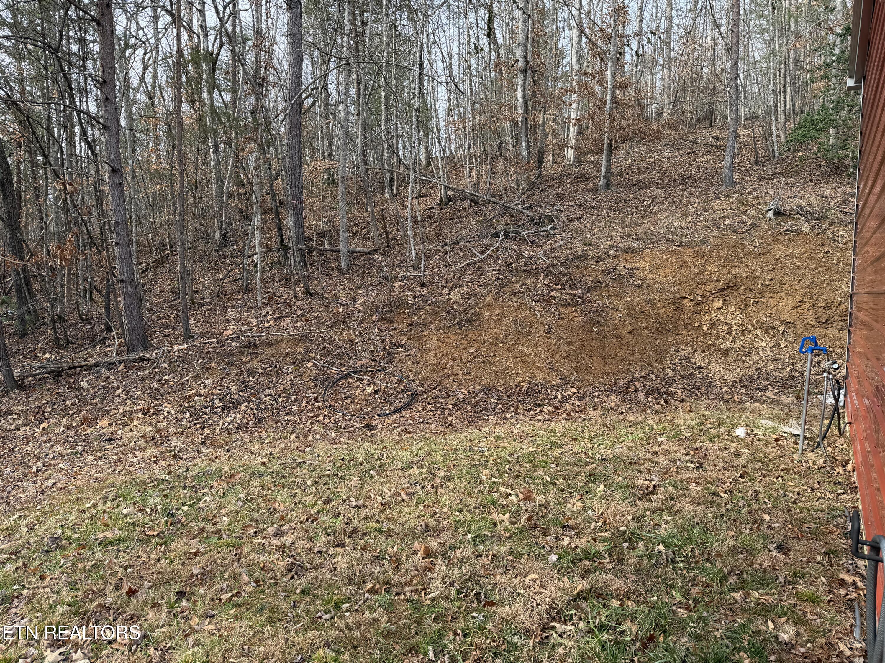 1863 Old County Garage Road Helenwood, TN 37755 - Photo 27 of 43 IMG_6102