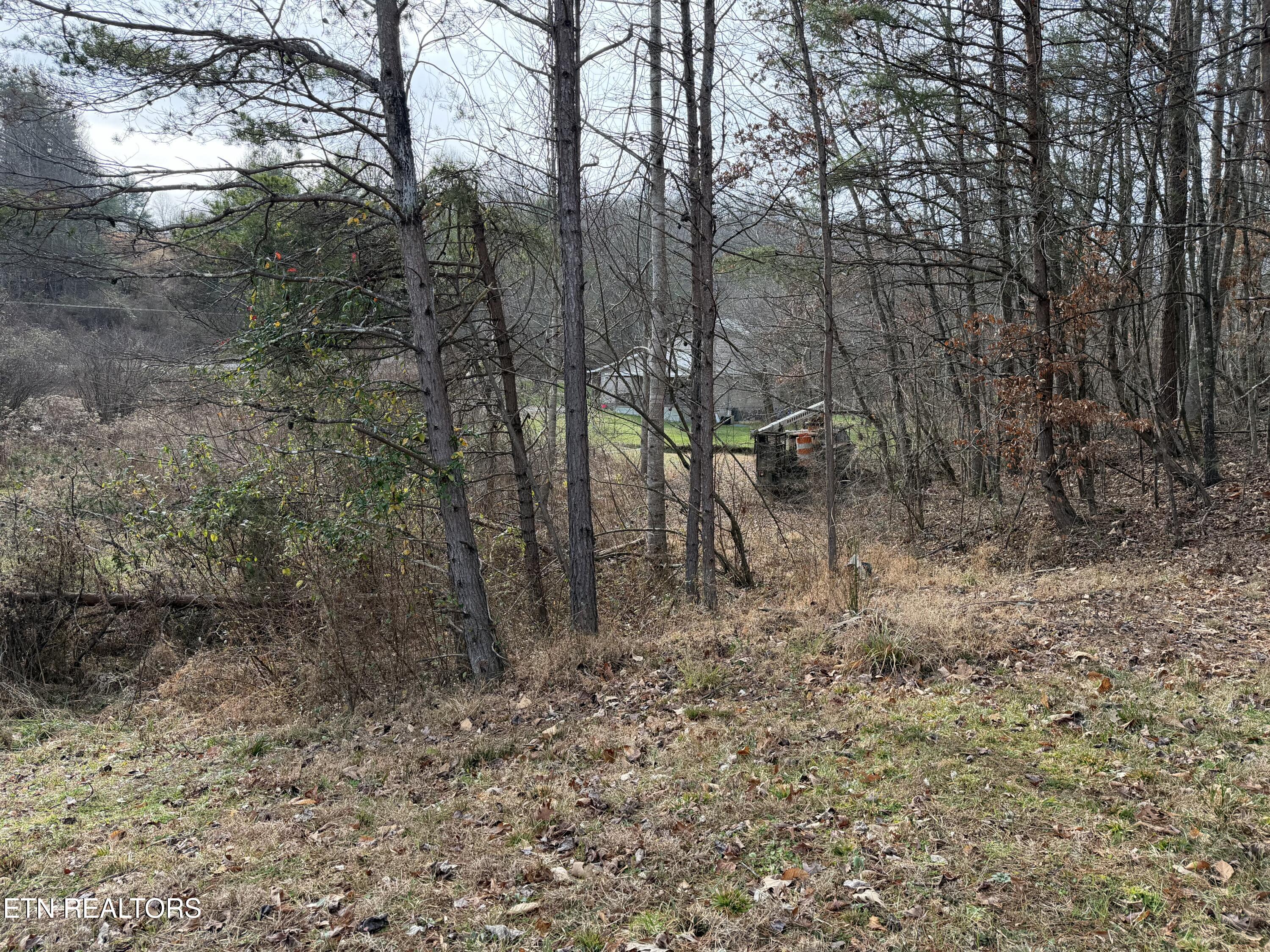 1863 Old County Garage Road Helenwood, TN 37755 - Photo 28 of 43 IMG_6103