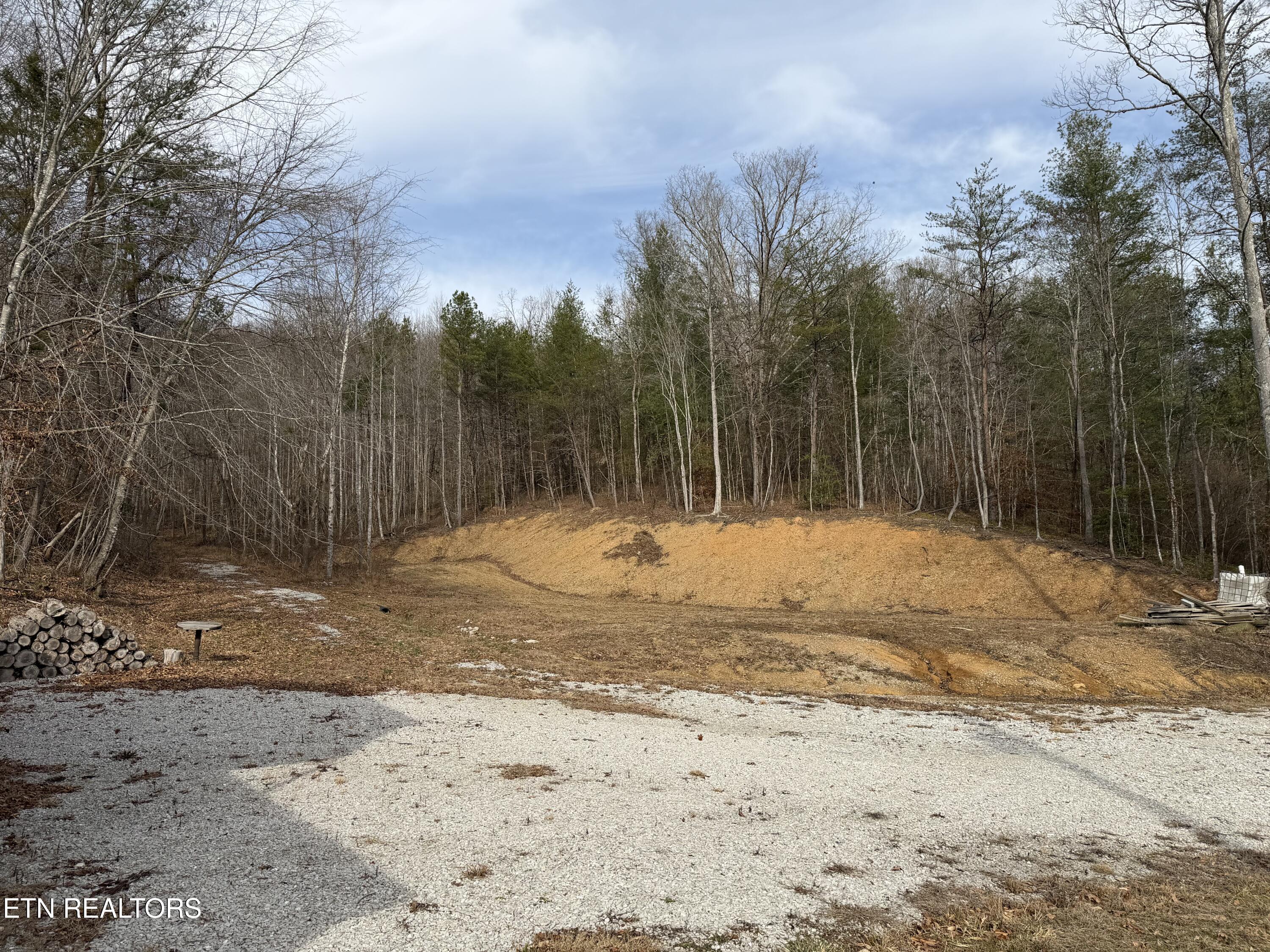 1863 Old County Garage Road Helenwood, TN 37755 - Photo 29 of 43 IMG_6106