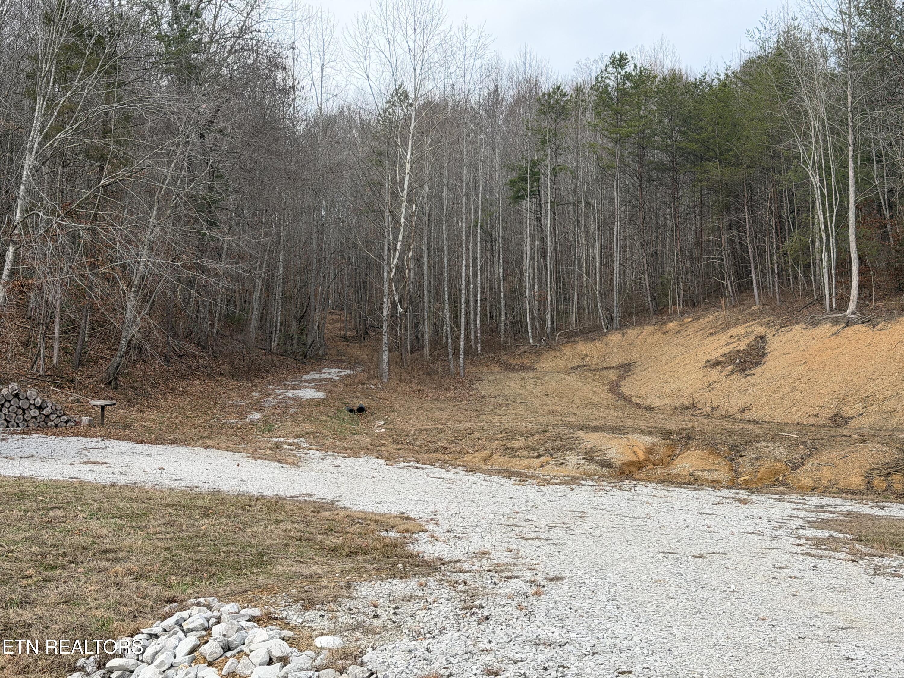 1863 Old County Garage Road Helenwood, TN 37755 - Photo 33 of 43 IMG_6115