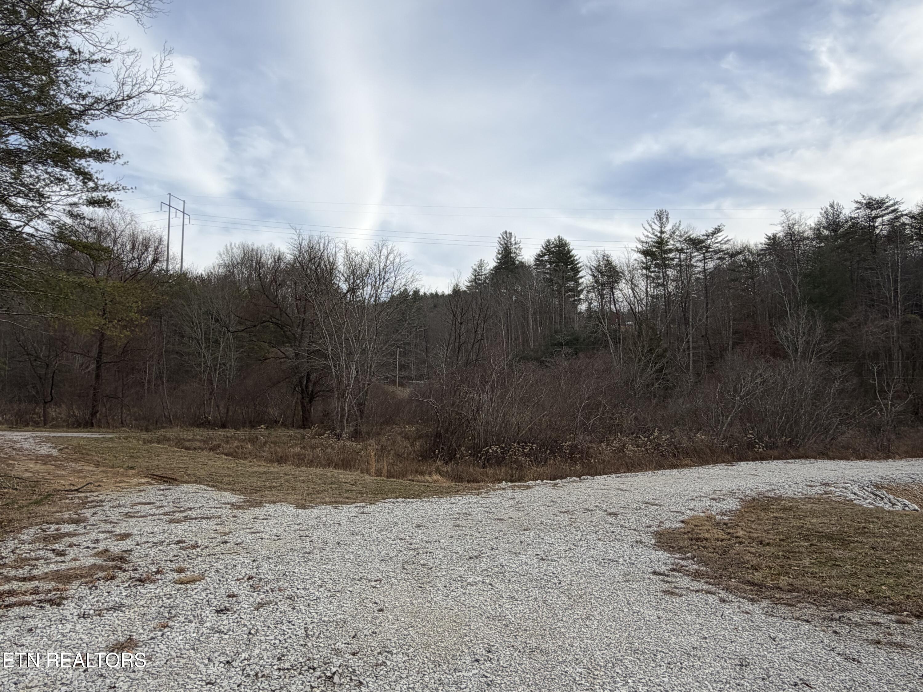 1863 Old County Garage Road Helenwood, TN 37755 - Photo 36 of 43 IMG_6124