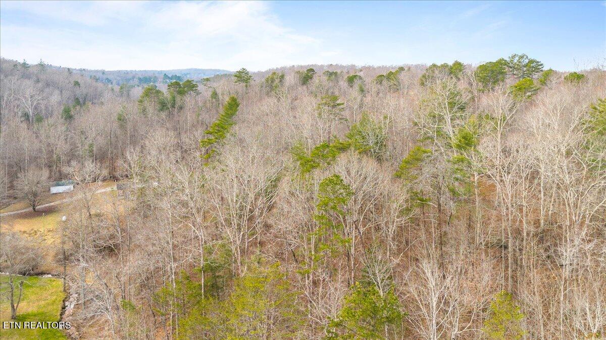 1863 Old County Garage Road Helenwood, TN 37755 - Photo 9 of 43 08-Old County Garage Rd