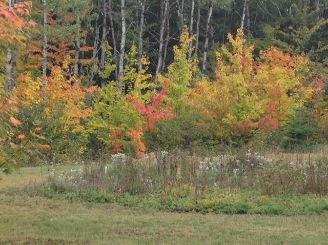 368 Charette Hill Road Fort Kent, ME 04743 - Photo 24 of 36 image2
