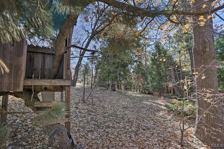 1017 Burnt Mill Road Lake Arrowhead, CA 92352 - Photo 28 of 32 a view of a house with a yard