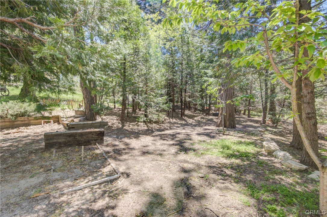 1017 Burnt Mill Road Lake Arrowhead, CA 92352 - Photo 3 of 32 a backyard of a house with lots of green space