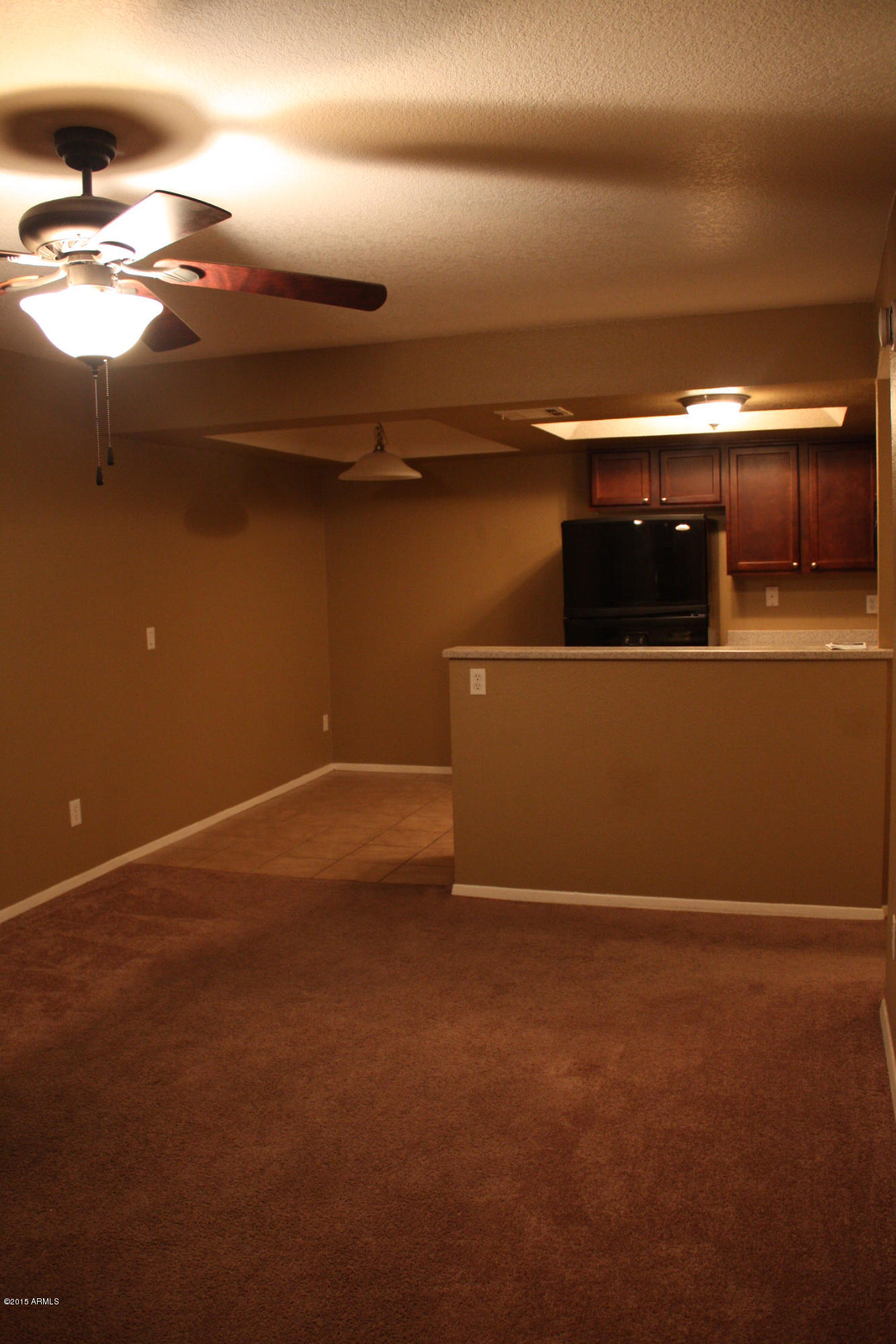 1720 East Thunderbird Road, Unit 2084 Phoenix, AZ 85022 - Photo 4 of 26 IMG_3678