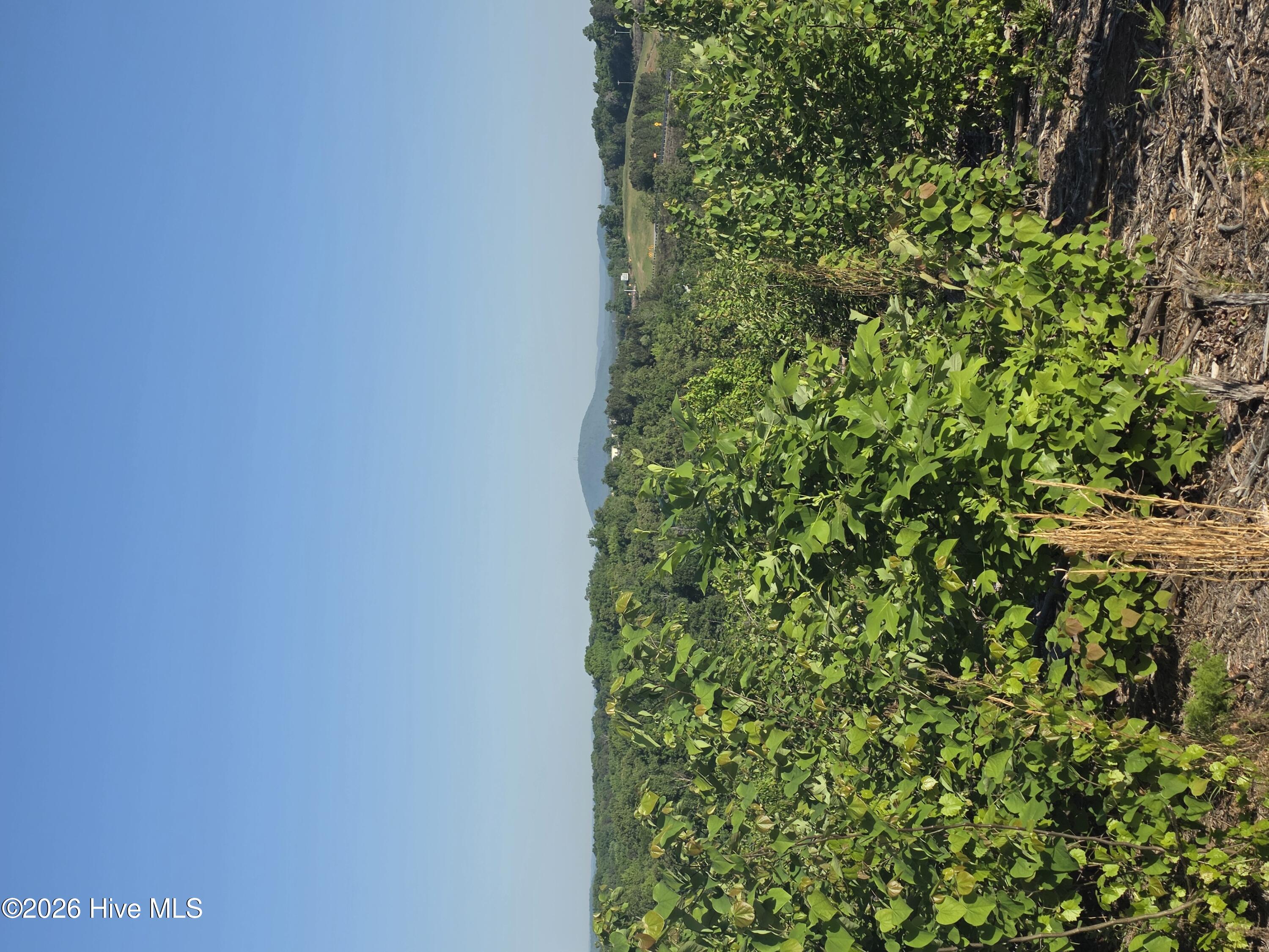 7740383679 Skeen View Road Asheboro, NC 27205 - Photo 6 of 15 from cleared cul de sac