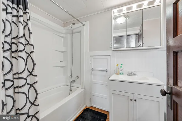 a view of a backyard with plants and large tree