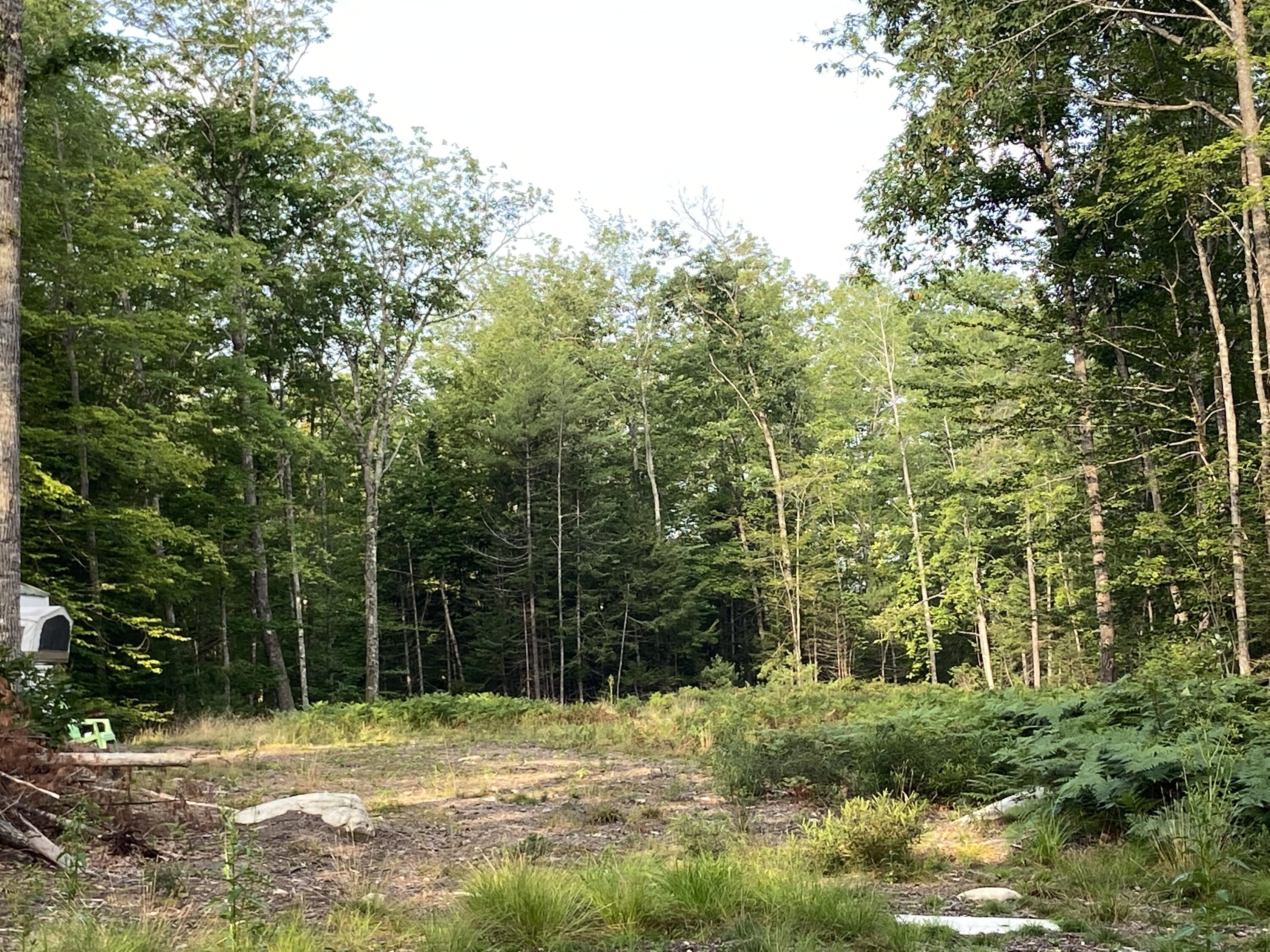 0 Naples Road Harrison, ME 04040 - Photo 1 of 12 02A8CC0B-4F07-41A4-A597-5F9C843EAB68