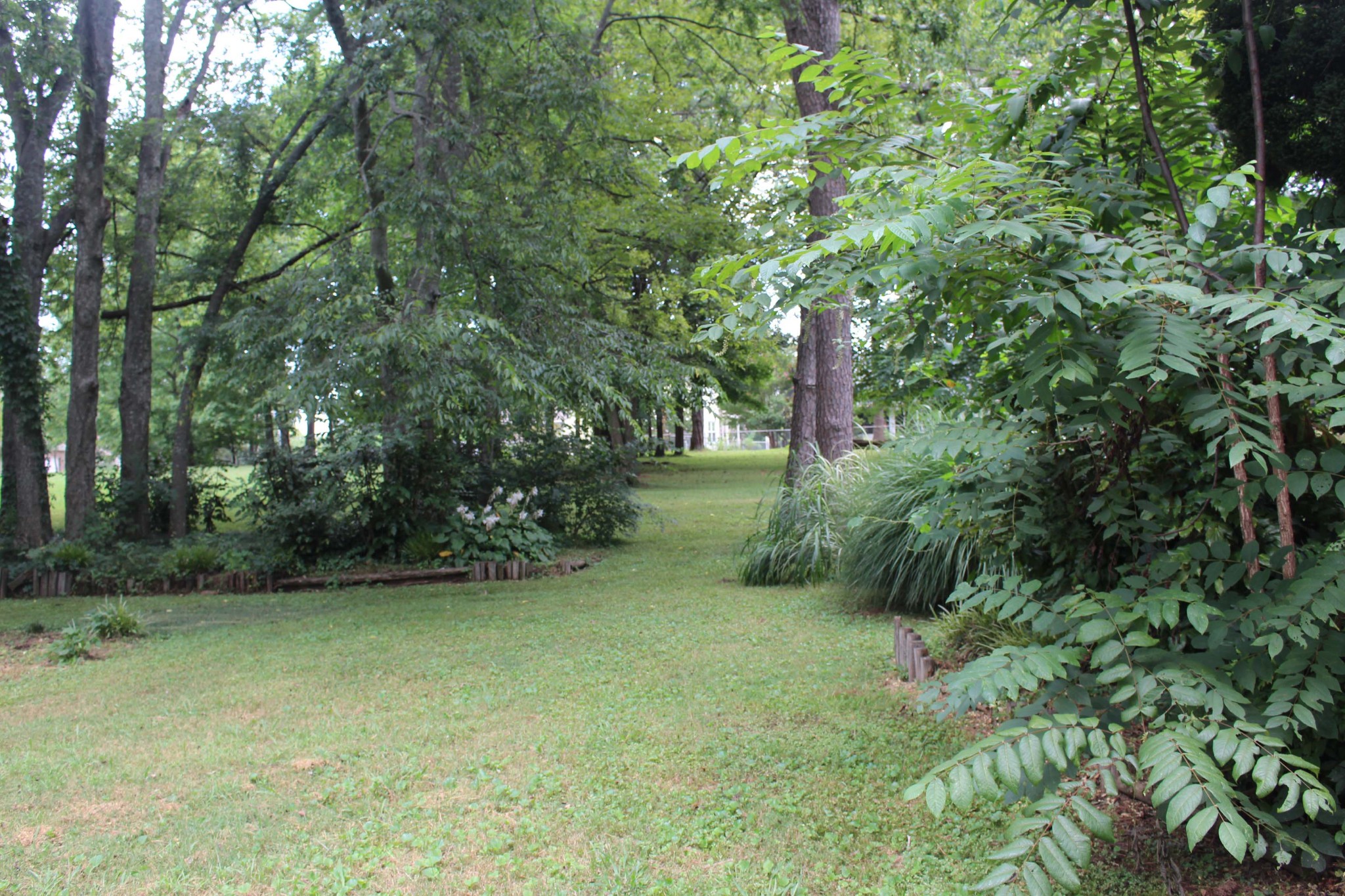 1426 Avon Road Murfreesboro, TN 37129 - Photo 15 of 46 a view of outdoor space and yard