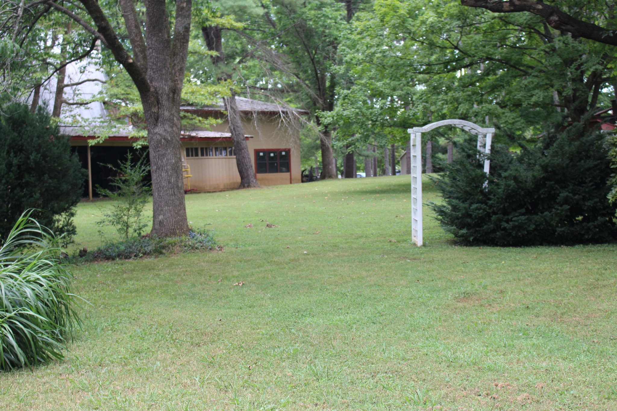 1426 Avon Road Murfreesboro, TN 37129 - Photo 16 of 46 a view of a backyard with large trees plants and large tree