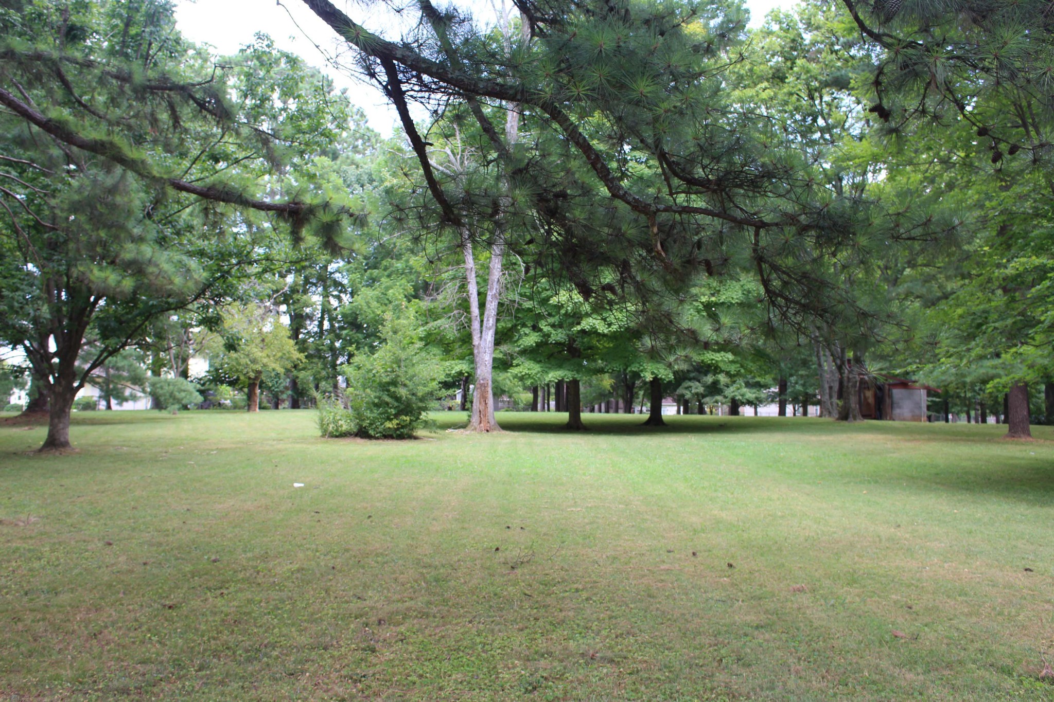 1426 Avon Road Murfreesboro, TN 37129 - Photo 5 of 46 a view of a trees in a field