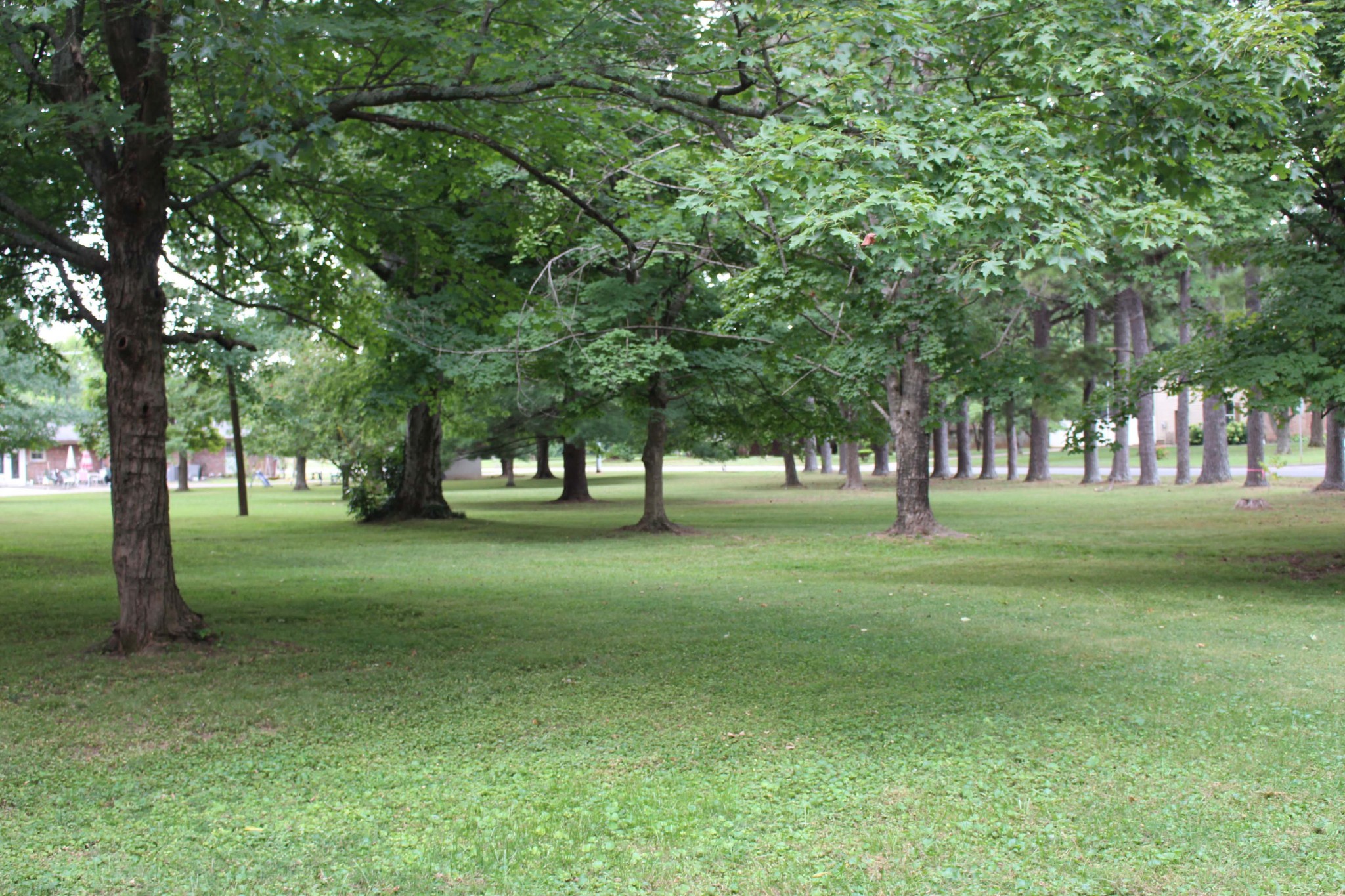 1426 Avon Road Murfreesboro, TN 37129 - Photo 41 of 46 a view of park space