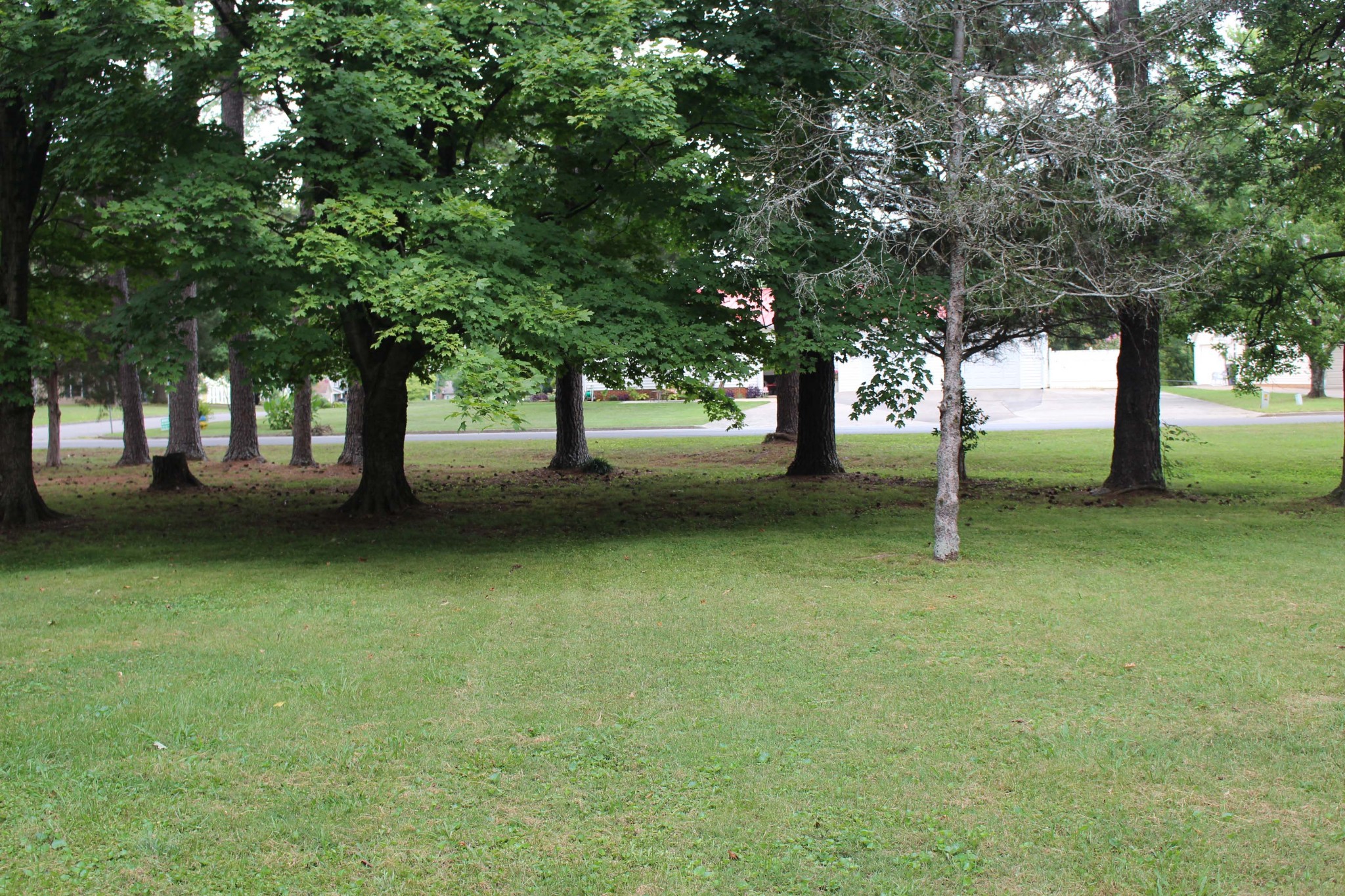 1426 Avon Road Murfreesboro, TN 37129 - Photo 43 of 46 a view of outdoor space
