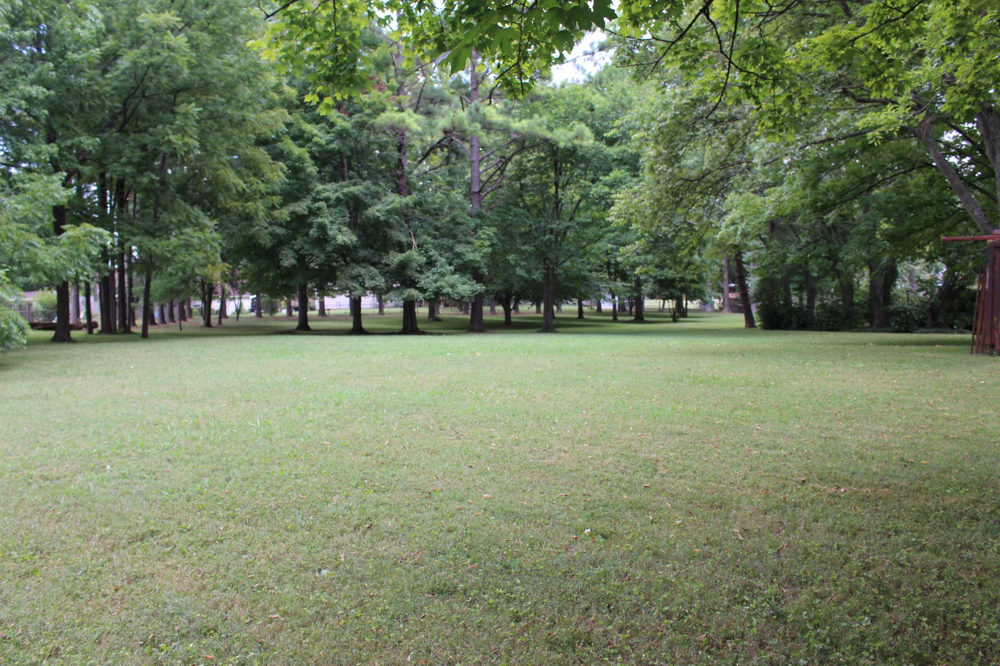 1426 Avon Road Murfreesboro, TN 37129 - Photo 8 of 46 a view of a field with trees in the background