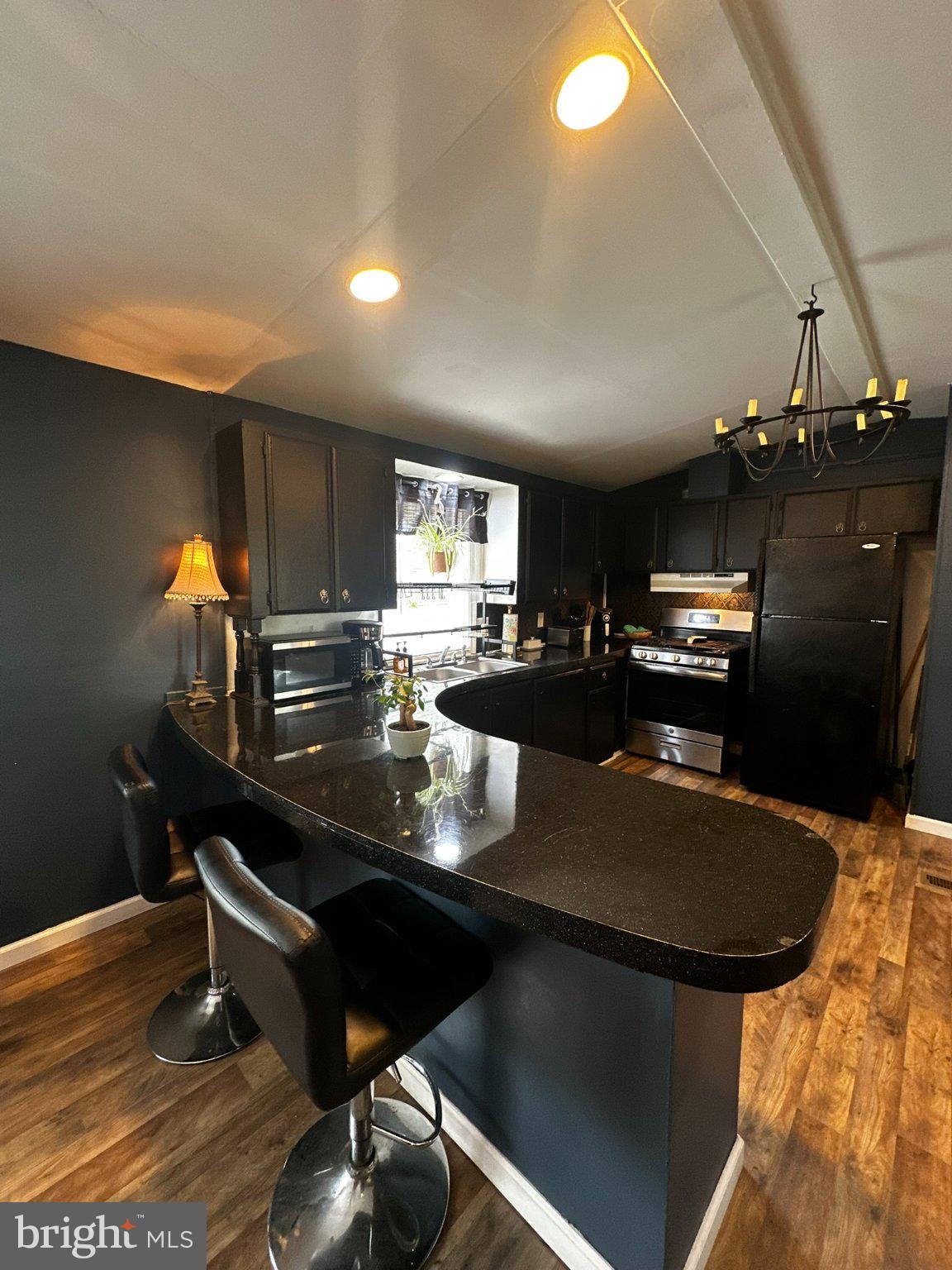 31777 Siham Road Lewes, DE 19958 - Photo 3 of 46 Sleek modern kitchen with dark elegance.