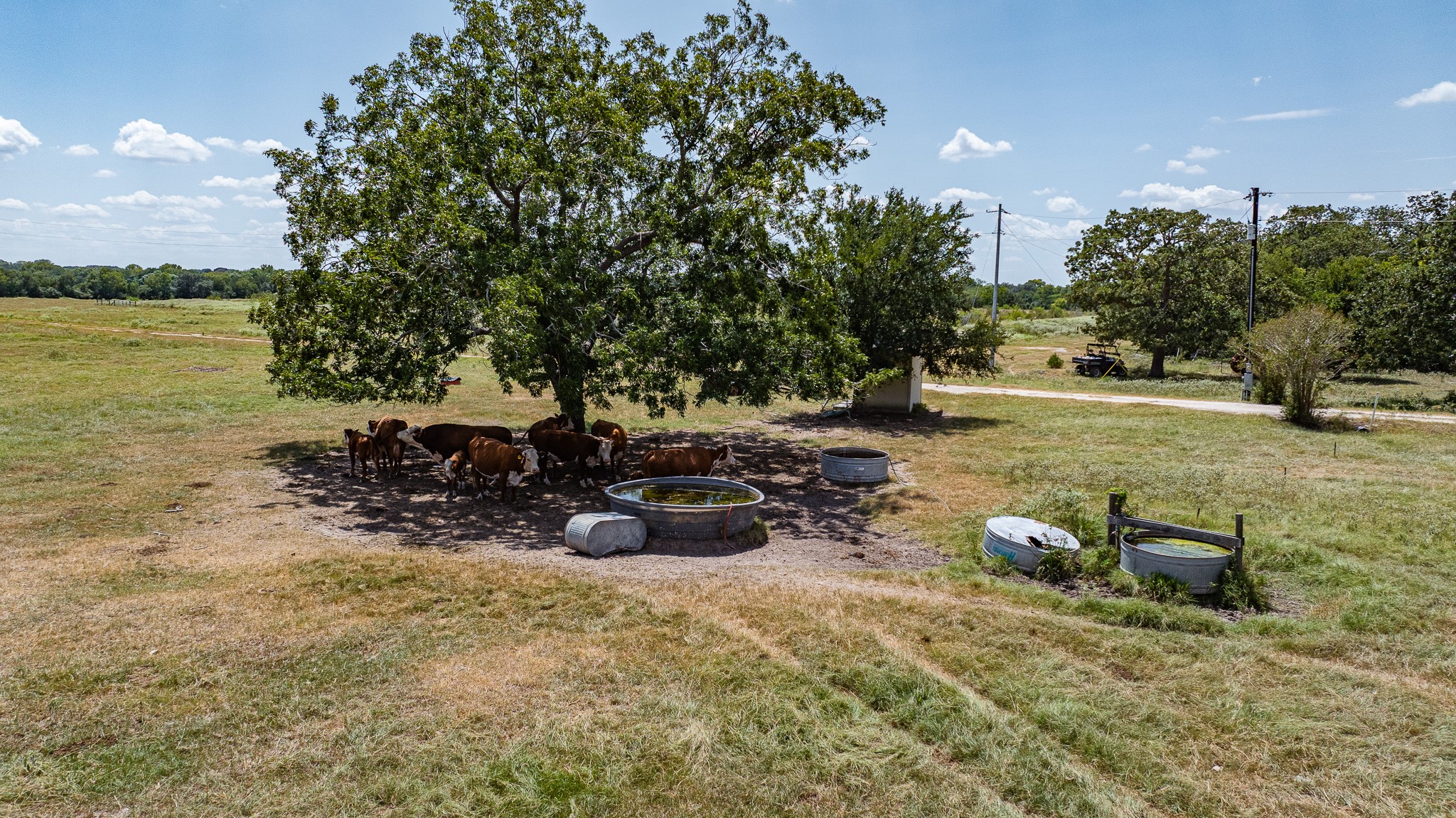 2210 Hermis Road Schulenburg, TX 78956 - Photo 16 of 37