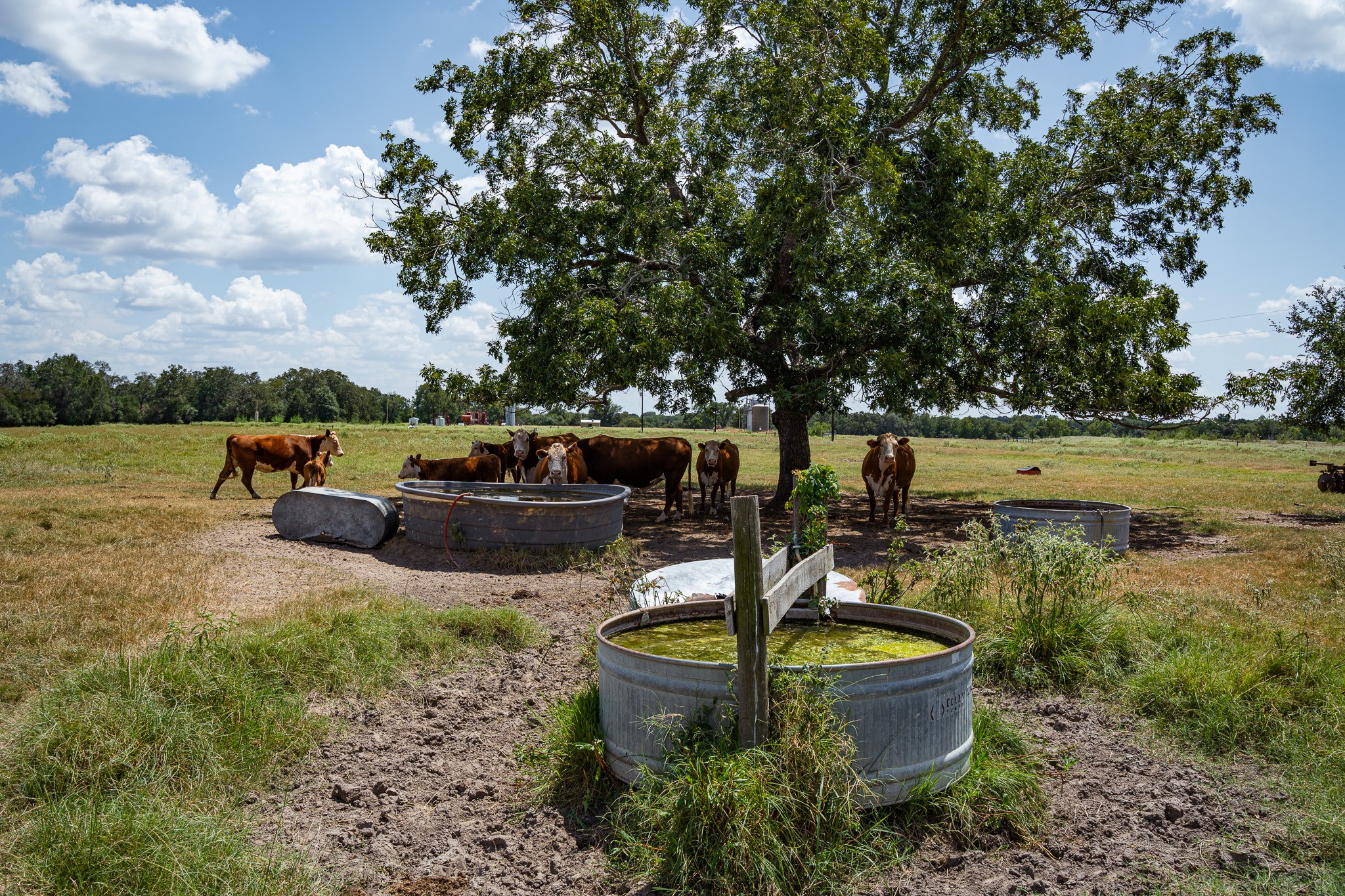 2210 Hermis Road Schulenburg, TX 78956 - Photo 20 of 37