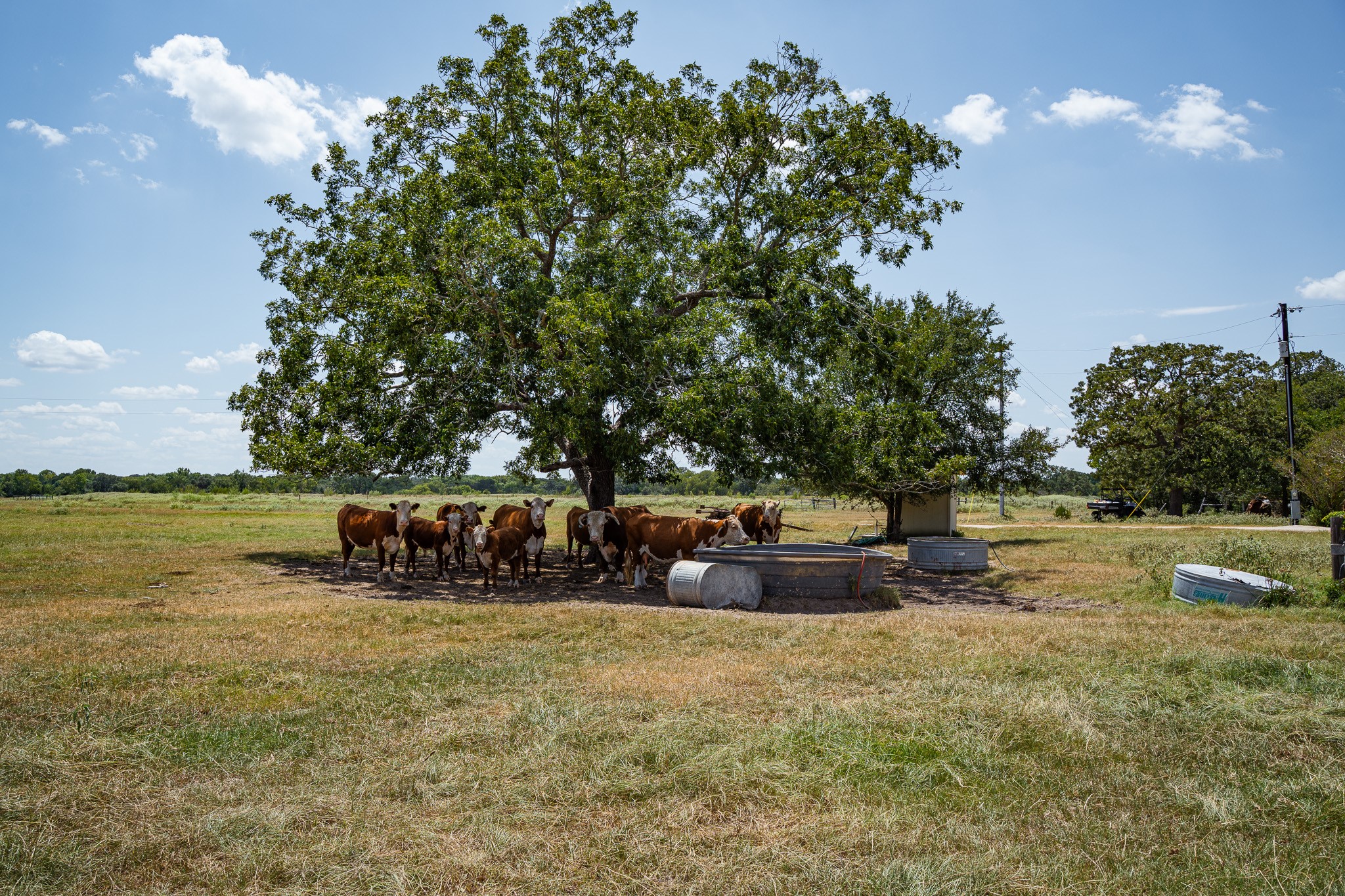 2210 Hermis Road Schulenburg, TX 78956 - Photo 21 of 37