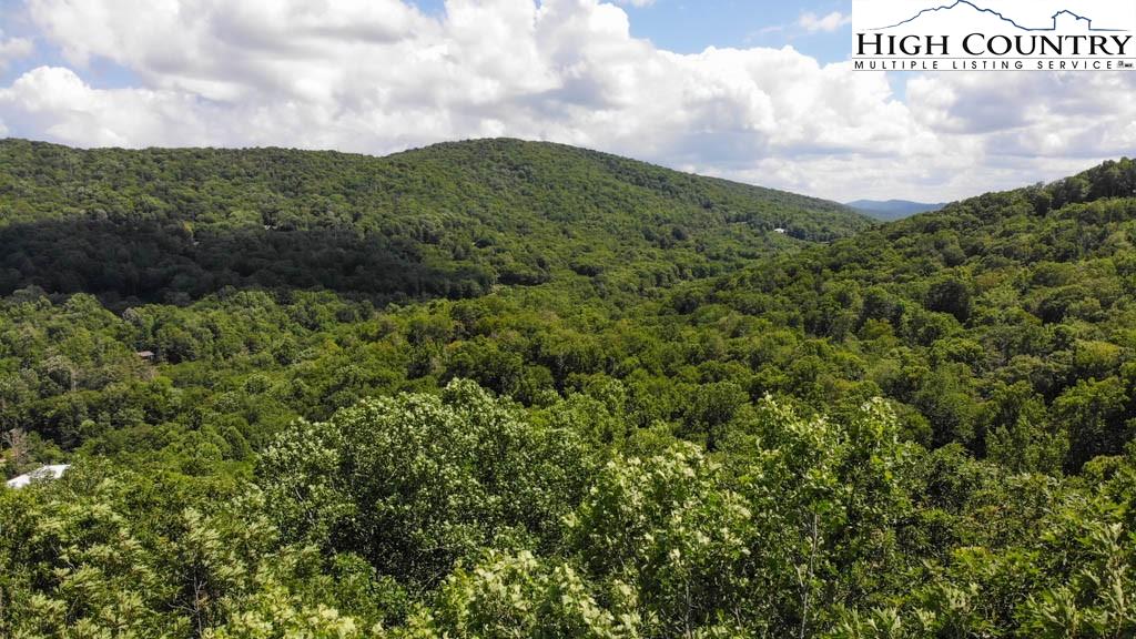 602 Ridge Run Linville, NC 28646 - Photo 11 of 11 a view of a bunch of trees