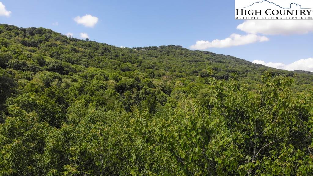 602 Ridge Run Linville, NC 28646 - Photo 2 of 11 a view of a city