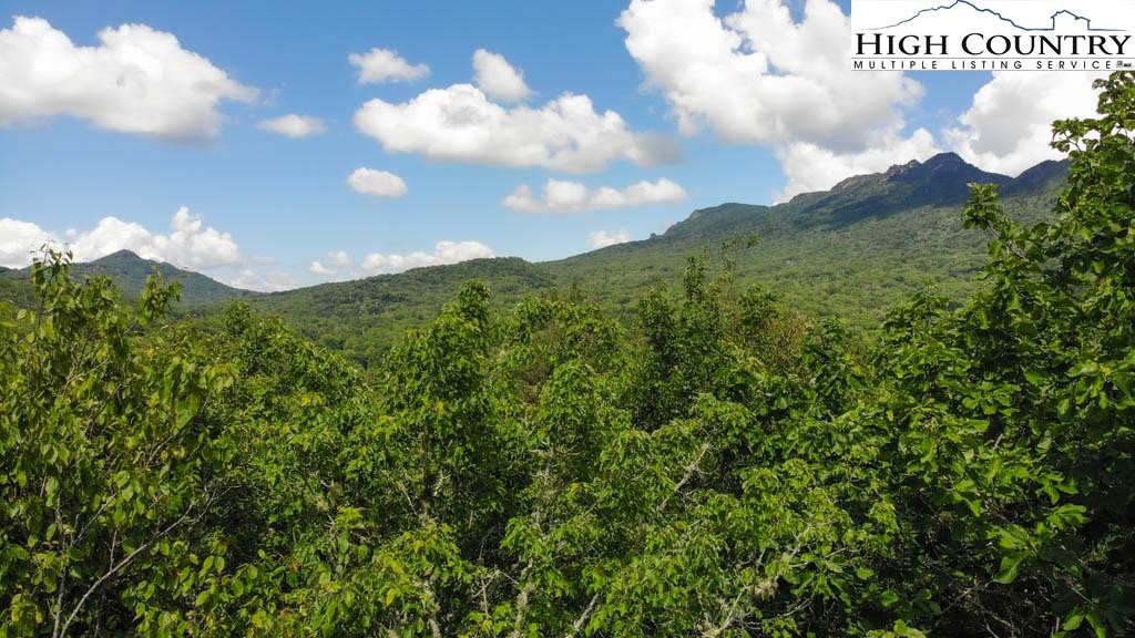 602 Ridge Run Linville, NC 28646 - Photo 3 of 11 a view of a city