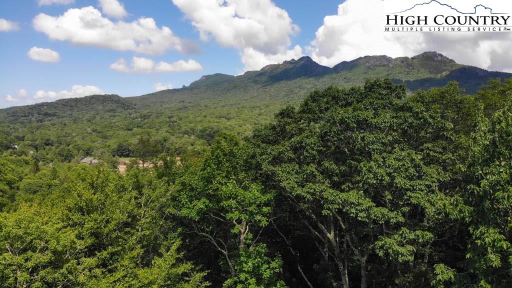 602 Ridge Run Linville, NC 28646 - Photo 4 of 11 a view of a city with lush green forest